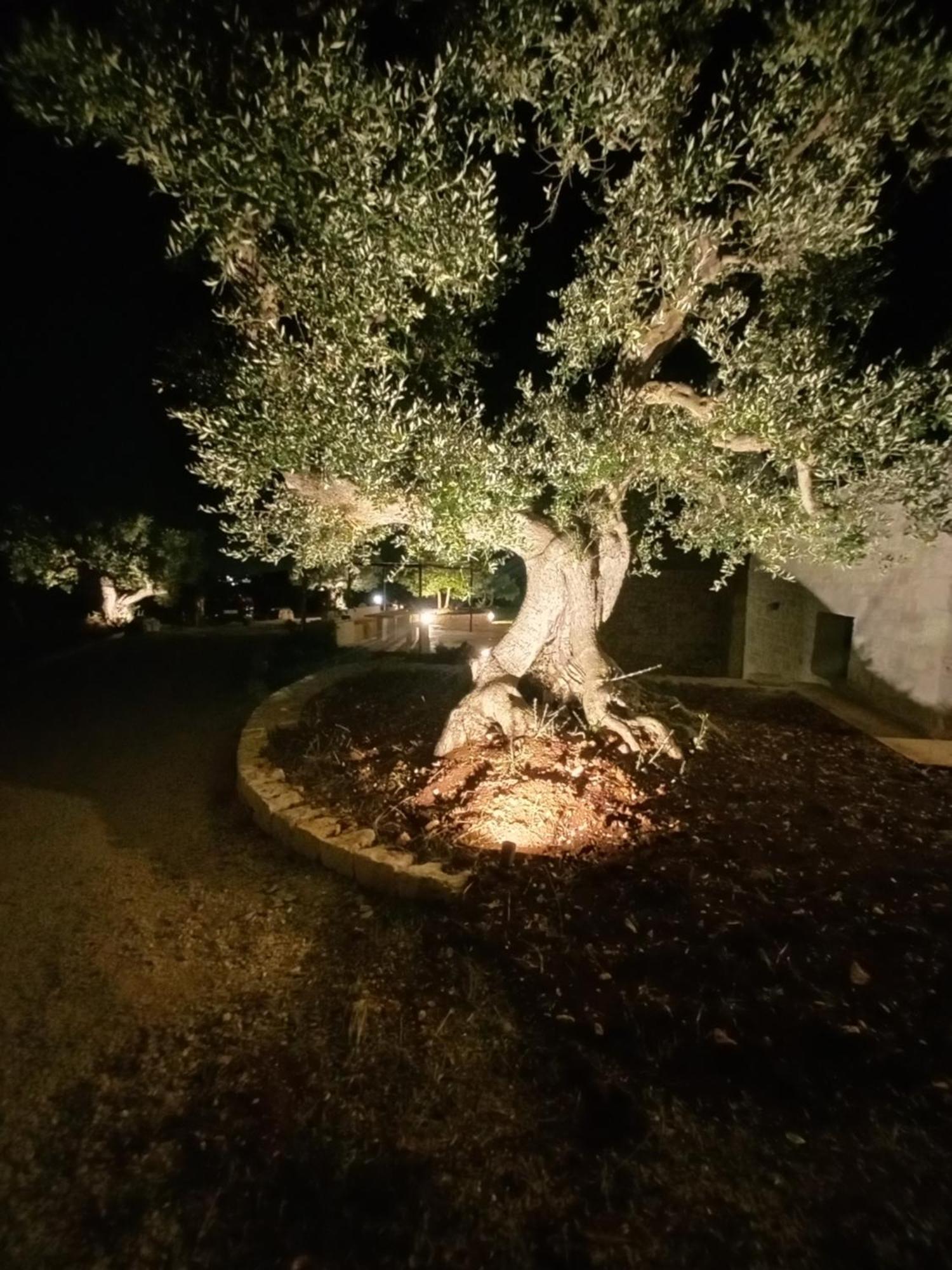 Il Nido Delle Rondini Villa Cisternino Ngoại thất bức ảnh