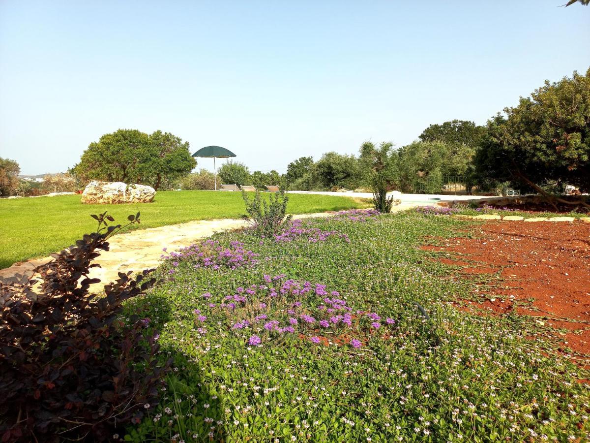 Il Nido Delle Rondini Villa Cisternino Ngoại thất bức ảnh