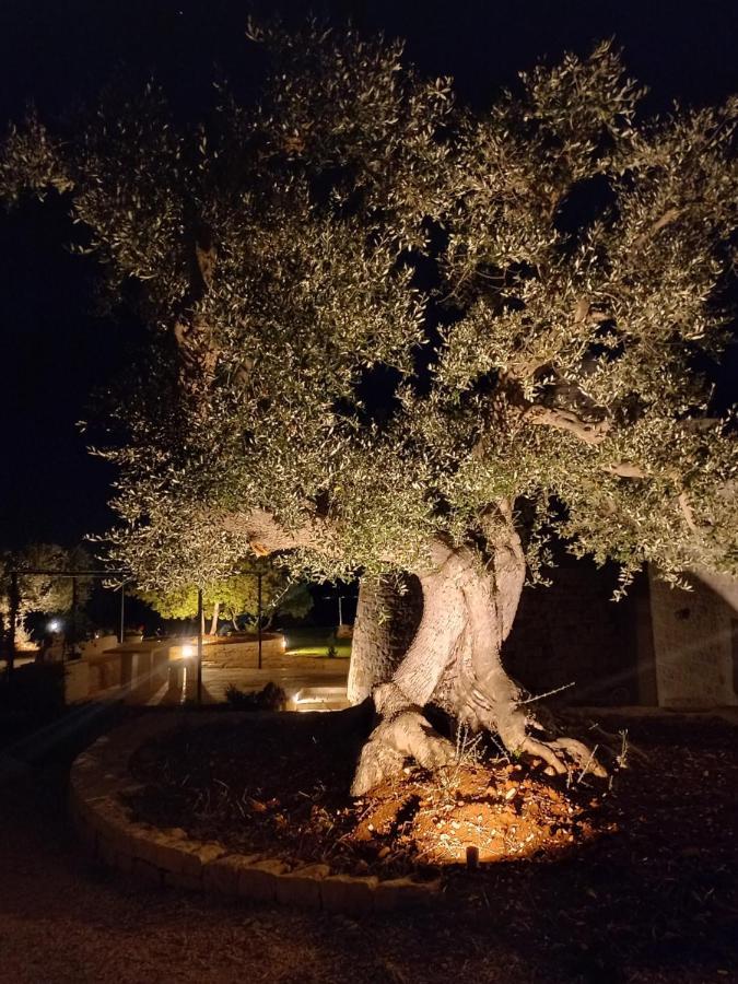Il Nido Delle Rondini Villa Cisternino Ngoại thất bức ảnh