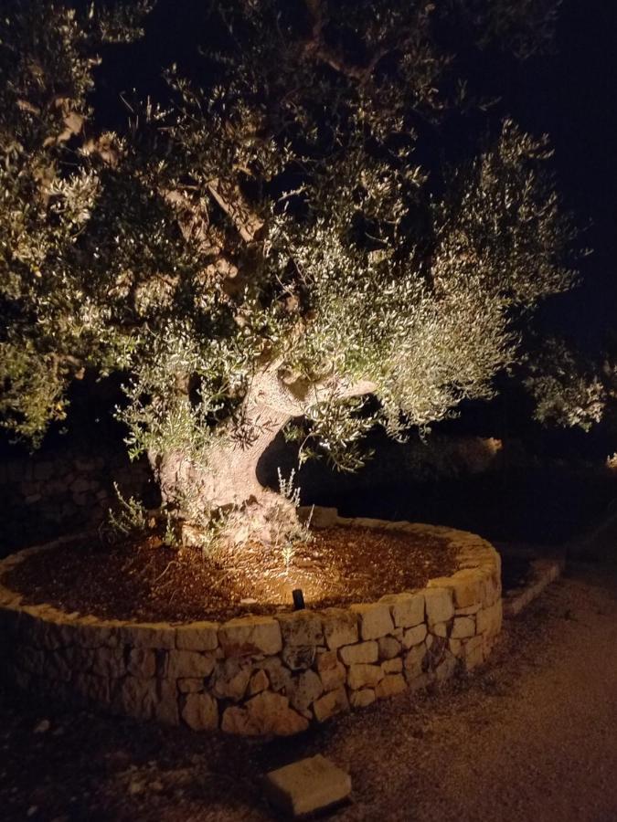 Il Nido Delle Rondini Villa Cisternino Ngoại thất bức ảnh